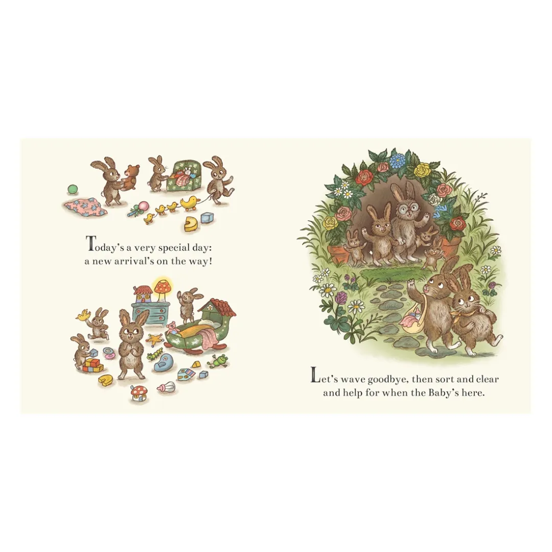 Brown Bear Wood: New Baby Bunny | Search   Find