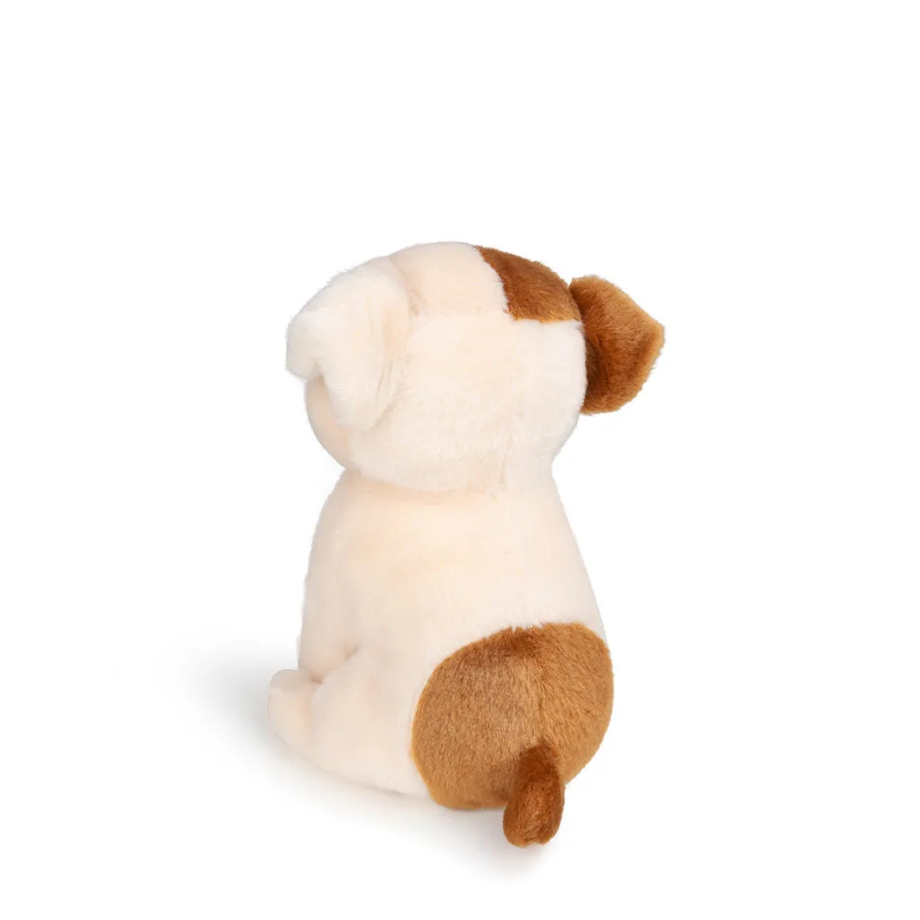 B.T. Chaps  Bertha The American Bulldog Floppy in Giftbox - 17cm - 6.5"