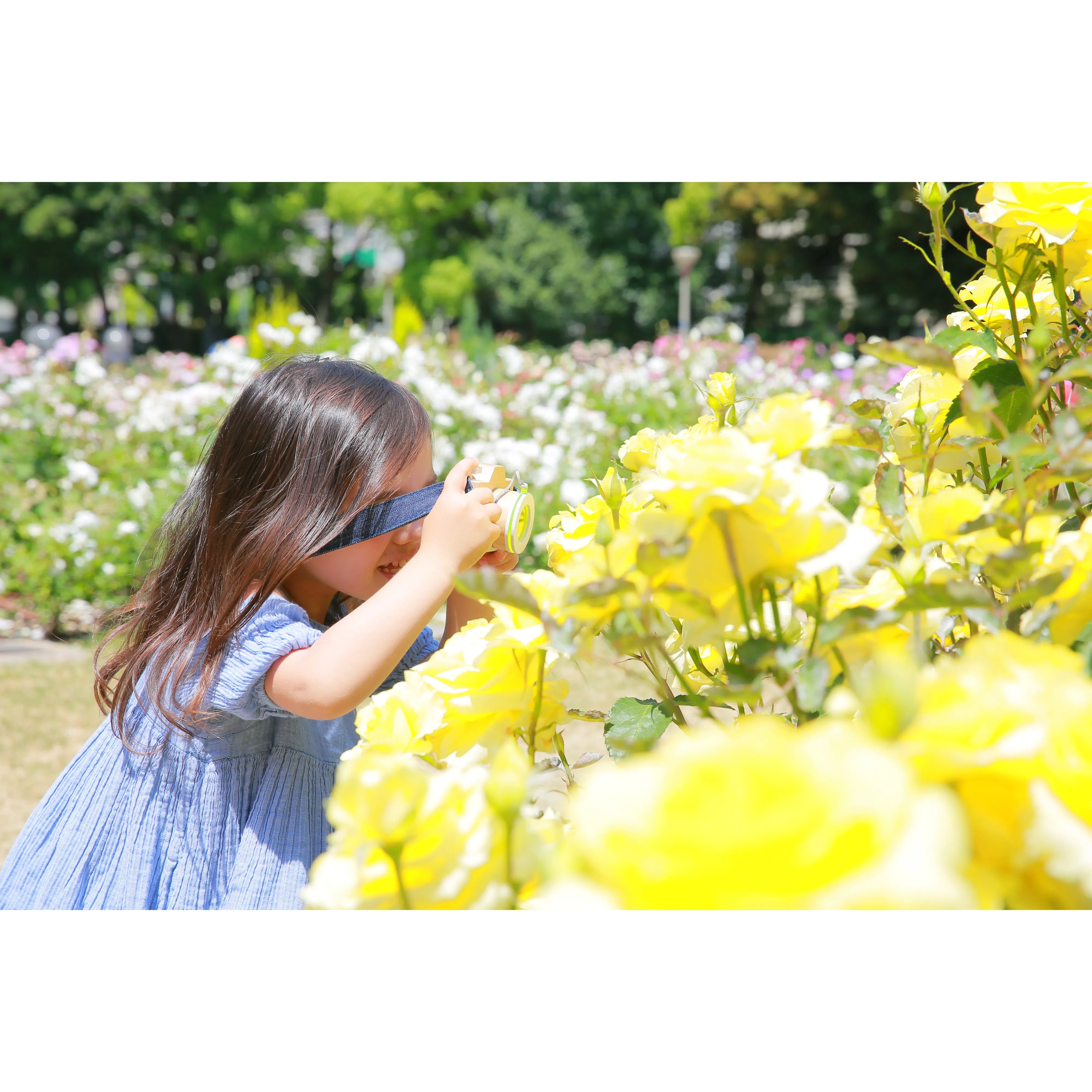 kiko  & gg* Camera Yellow