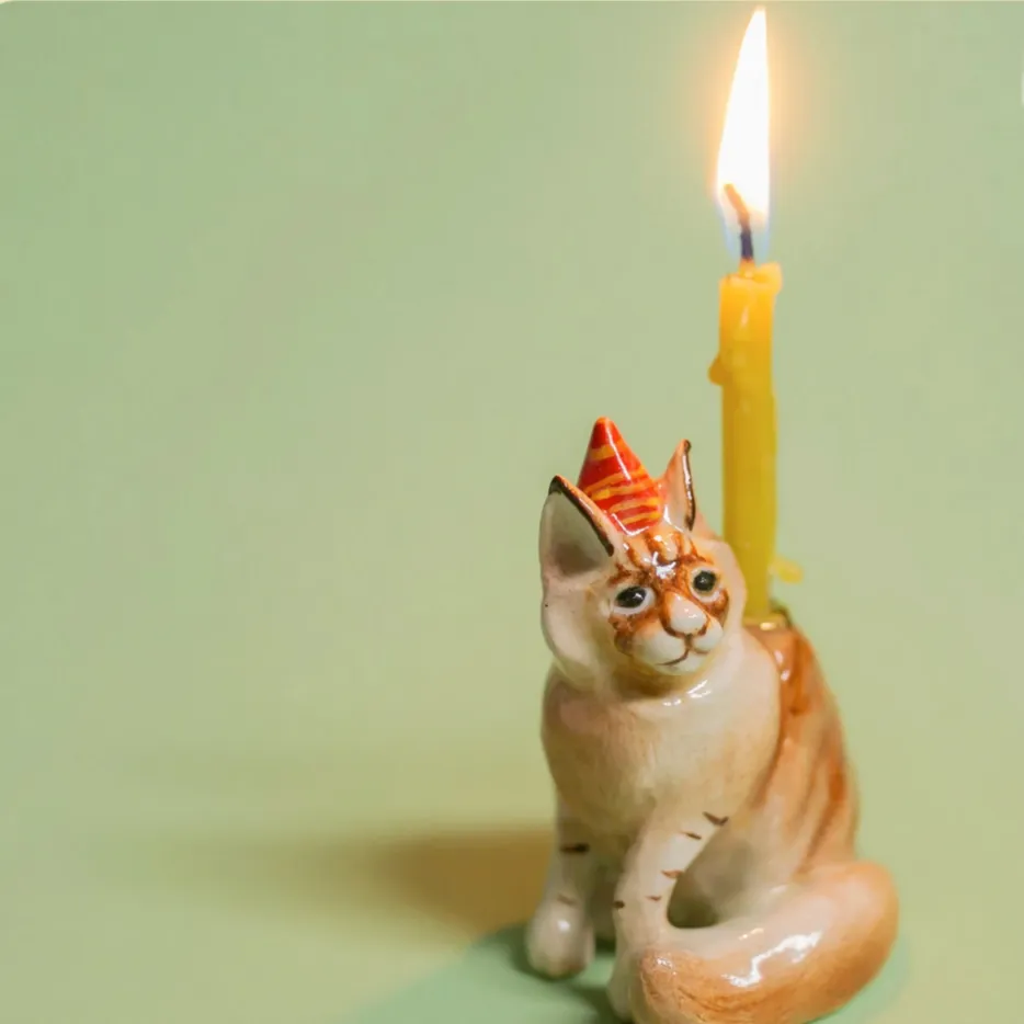 MAINE COON CAT CAT CAKE TOPPER