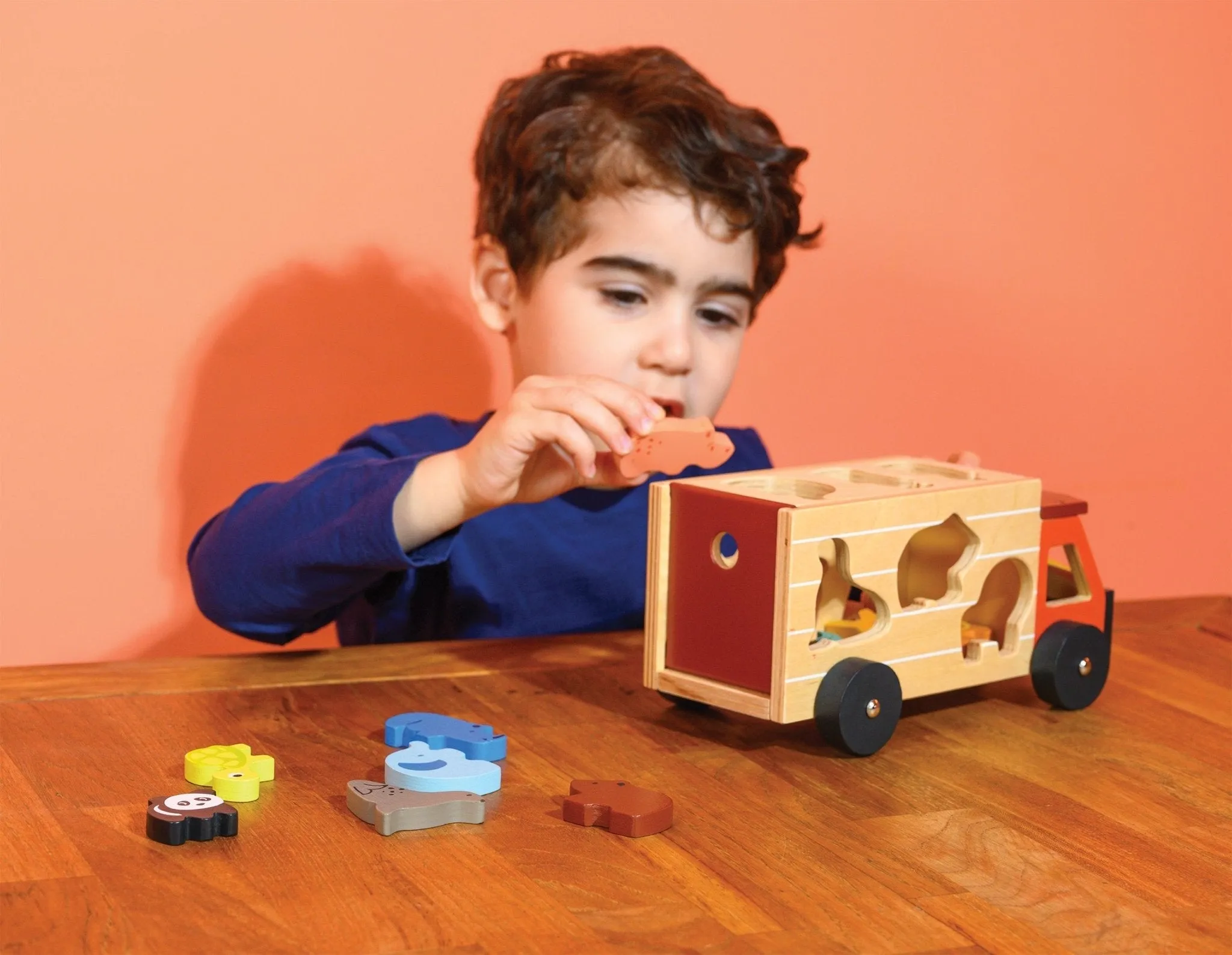 Mentari Shape Sorting Safari Truck