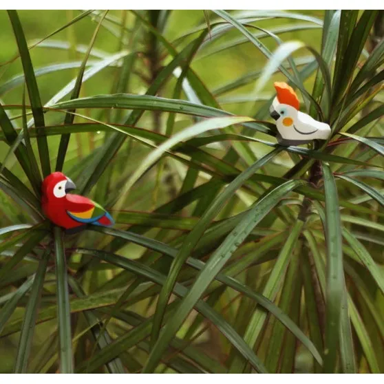 Mikheev | Bird | Parrot Red