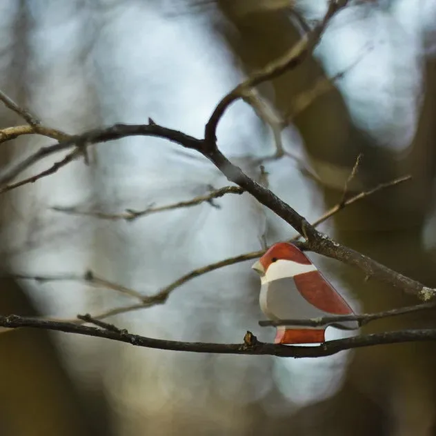 Mikheev | Bird | Sparrow