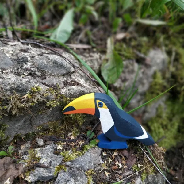 Mikheev | Bird | Toucan