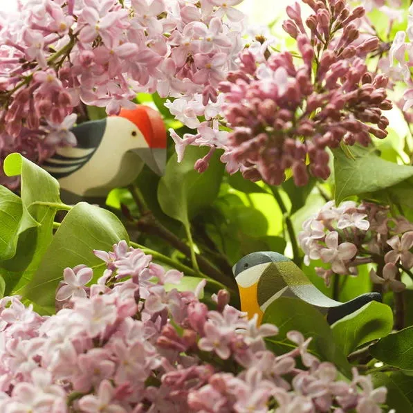 Mikheev | Bird | Woodpecker