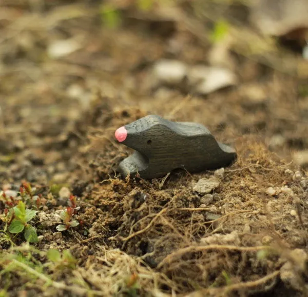 Mikheev | Mole