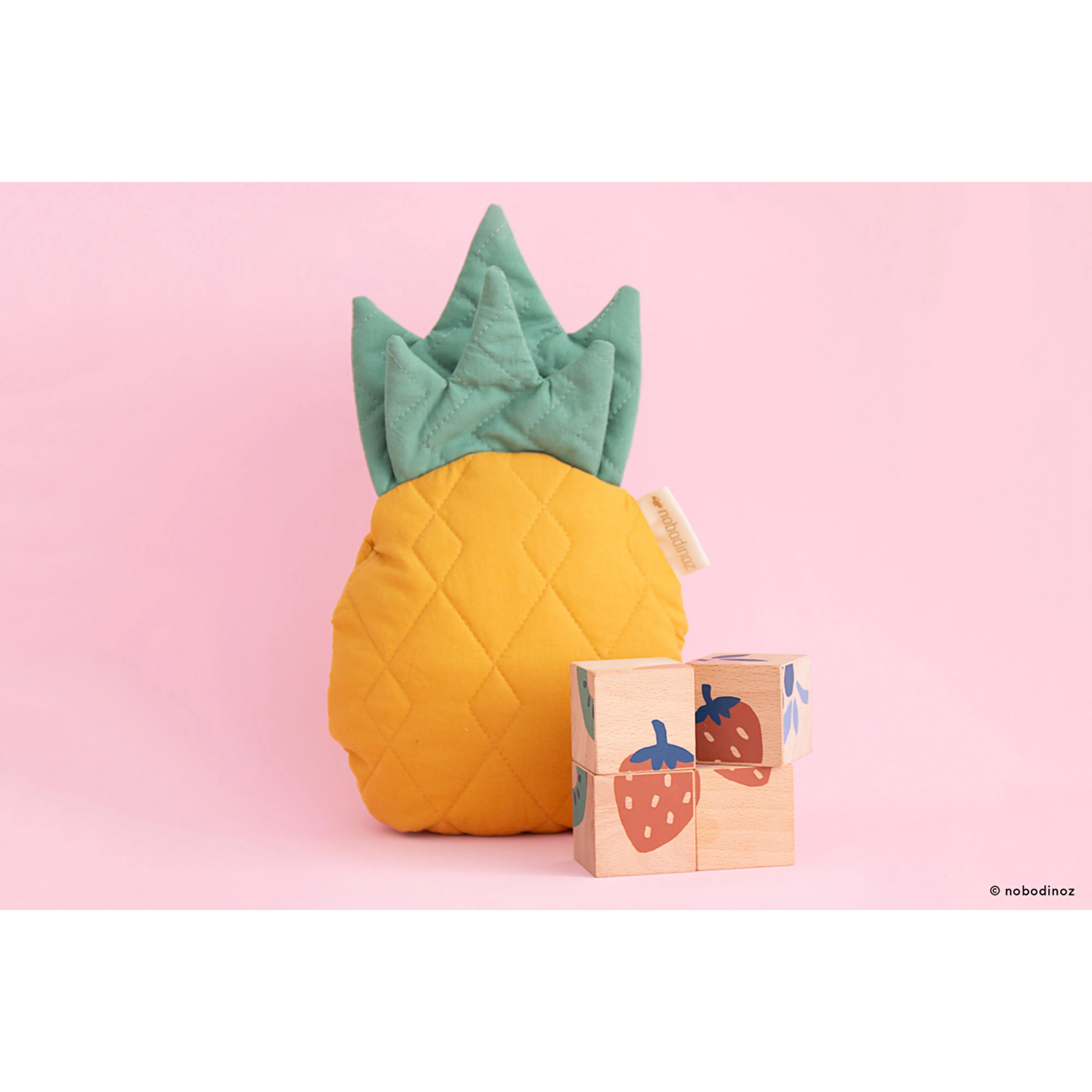 nobodinoz Fruits Wooden Cubes