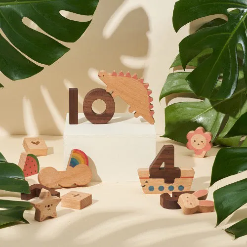 OIOIOOI Numbers Play Block Set