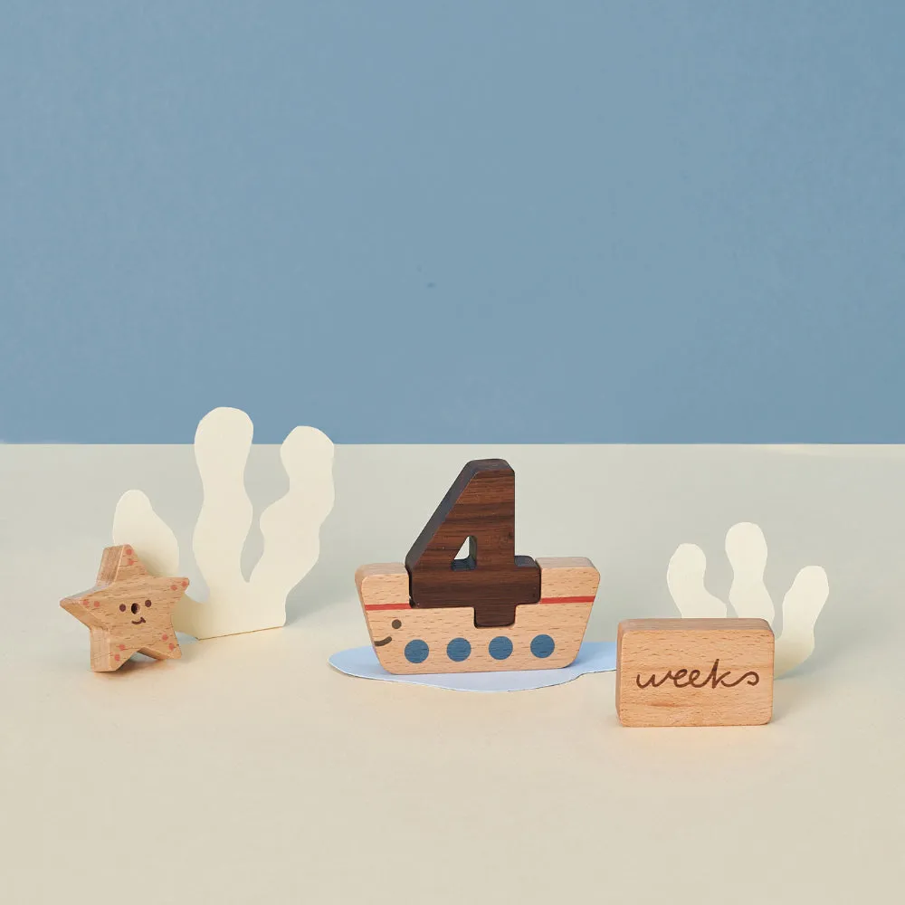 OIOIOOI Numbers Play Block Set