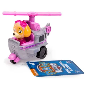 PAW Patrol Racers Skye