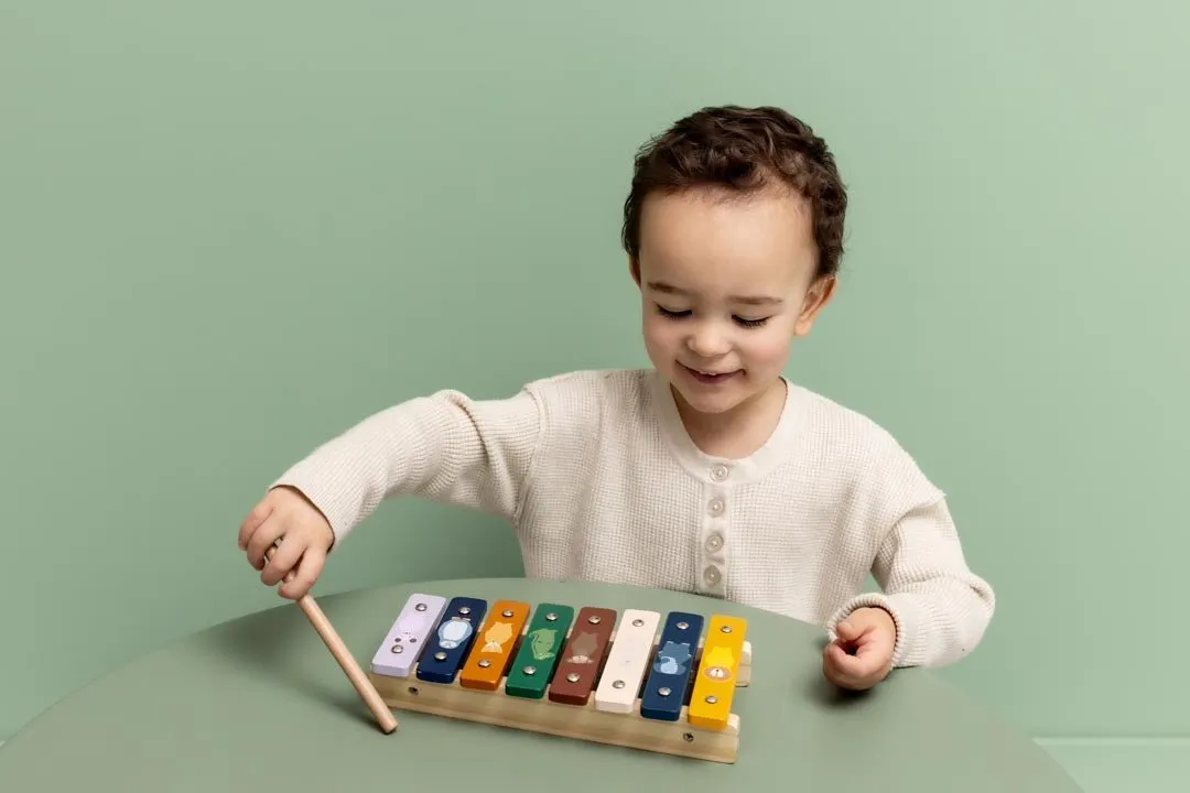 Trixie: Wooden Xylophone